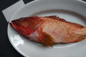 photo: アクアパッツァはその日の1尾をつかいますからご連絡をください。