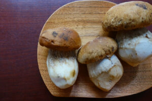 photo: ポルチーニ